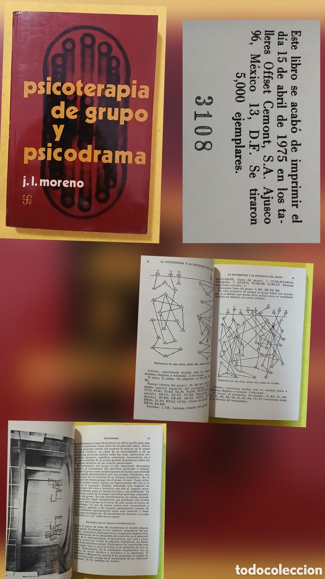 books: J. L. MORENO PSICOTERAPIA DE GRUPO Y PSICODRAMA INTRODUCCI&Oacute;N A LA TEOR&Iacute;A Y LA PRAXIS FONDO DE CULTUR
