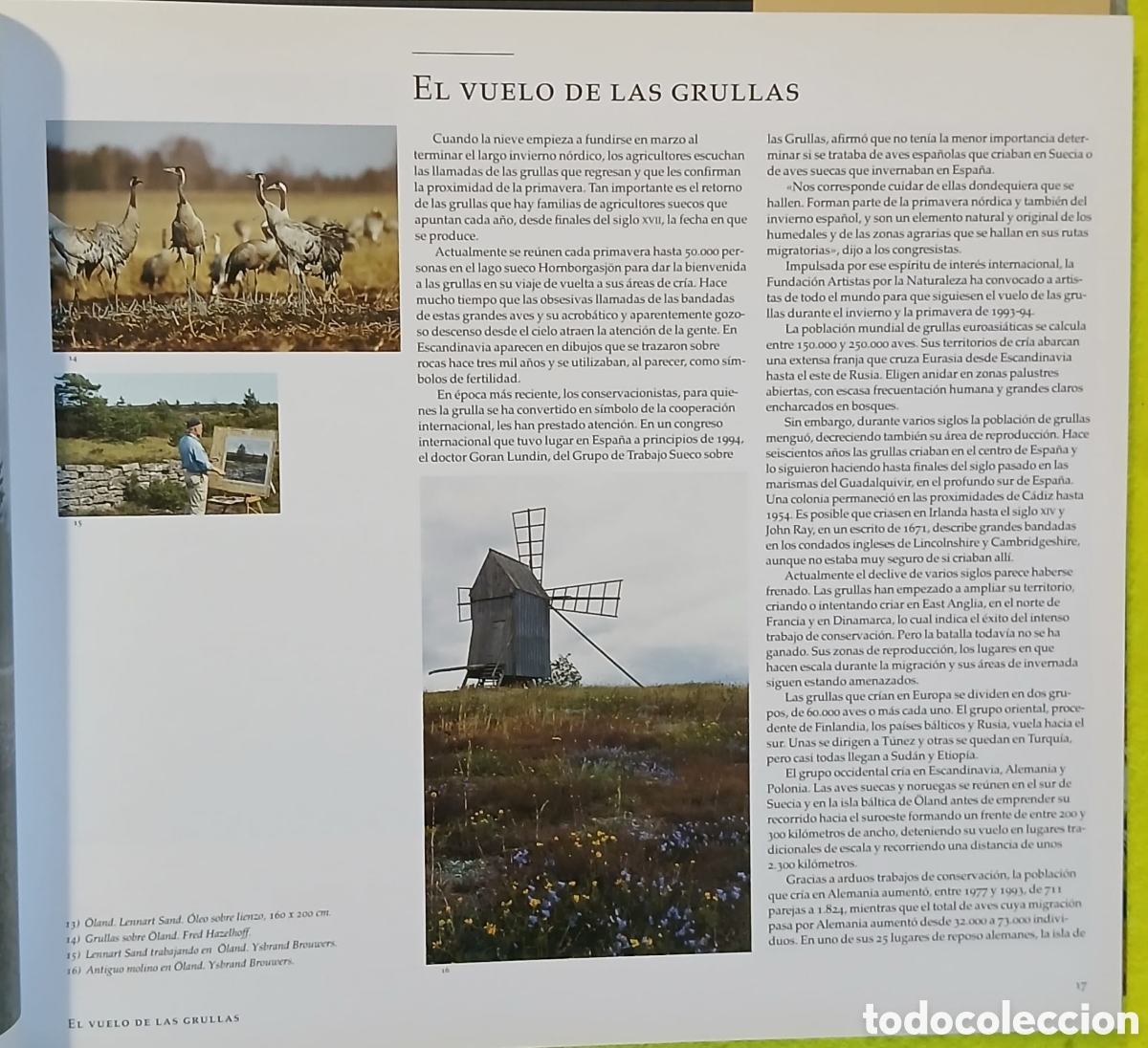 Libros: Las grullas vuelan a Extremadura - Foto 5