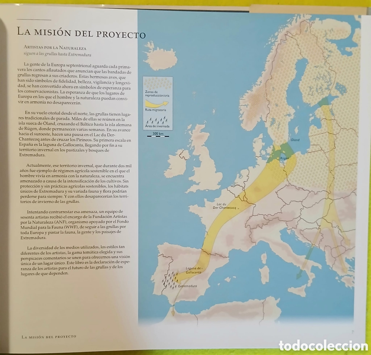 Libros: Las grullas vuelan a Extremadura - Foto 6