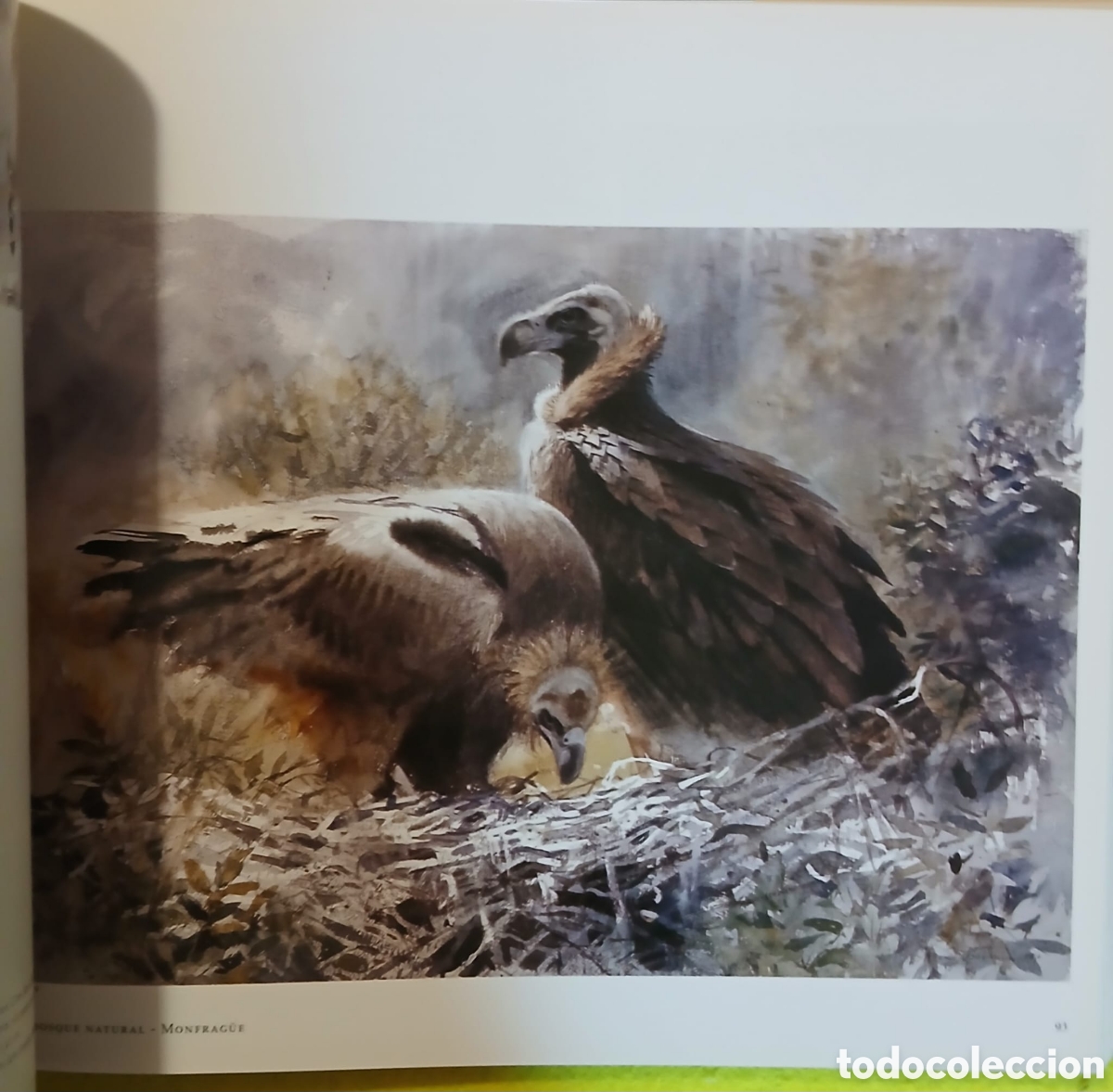Libros: Las grullas vuelan a Extremadura - Foto 8
