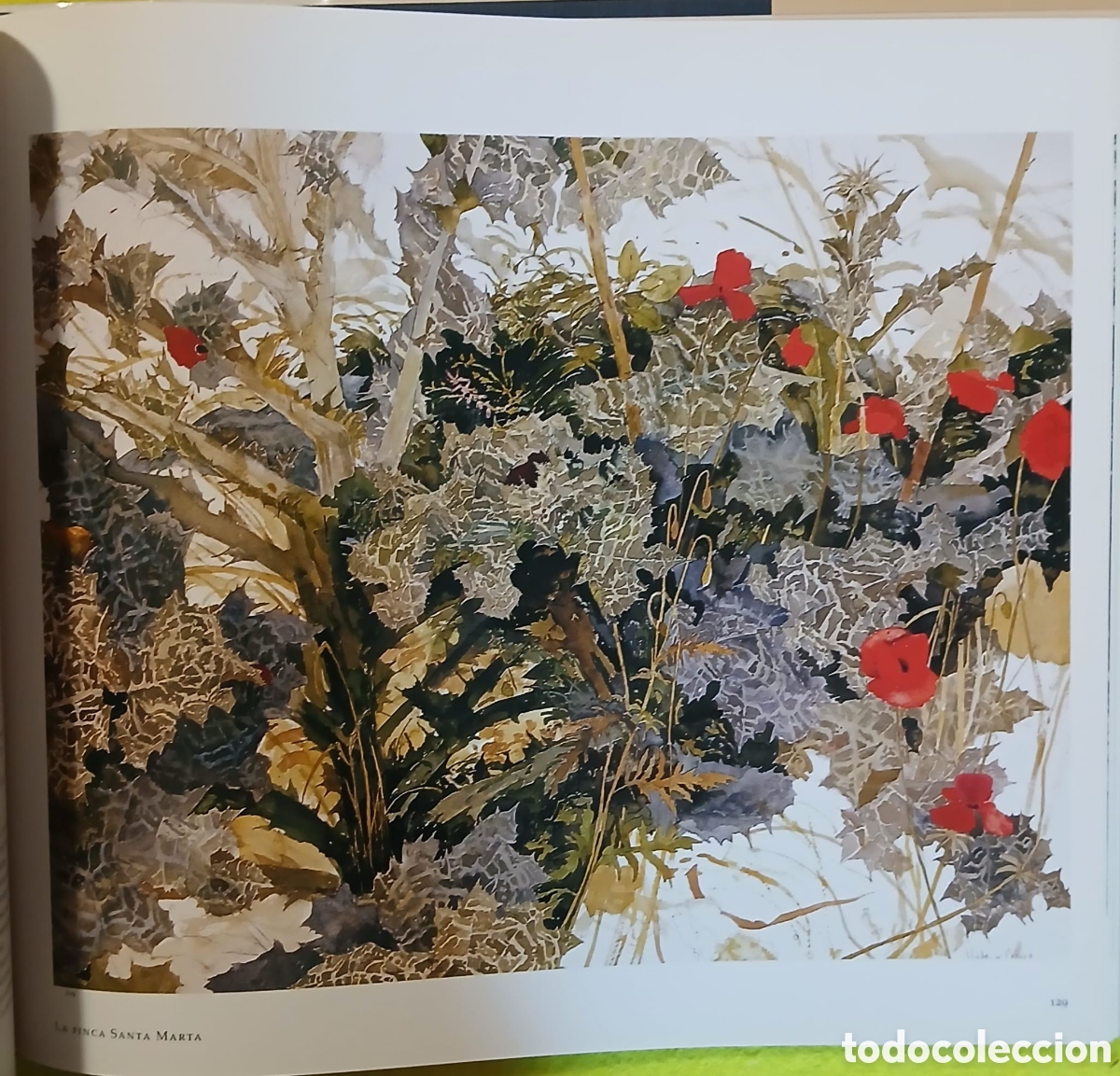 Libros: Las grullas vuelan a Extremadura - Foto 9