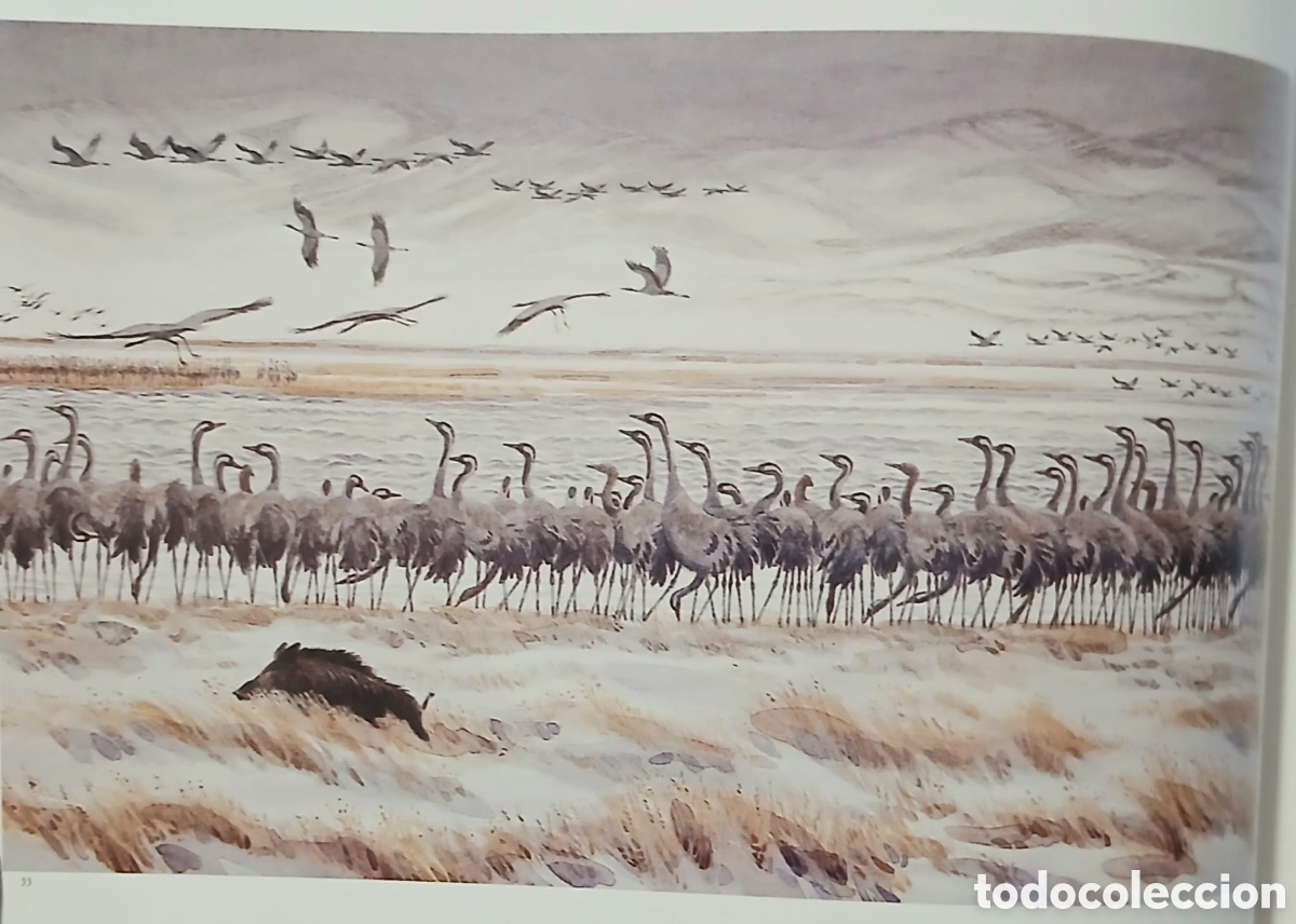 Libros: Las grullas vuelan a Extremadura - Foto 10