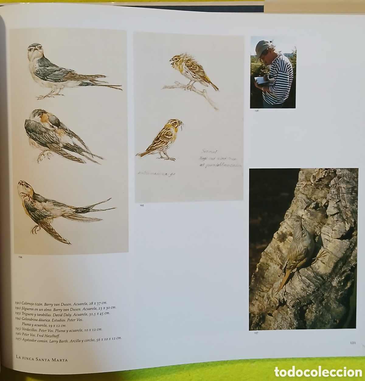 Libros: Las grullas vuelan a Extremadura - Foto 12