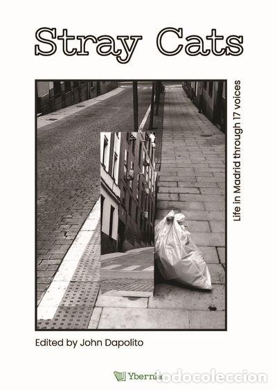 Libros: Stray Cats- 9788412961768 - Foto 1
