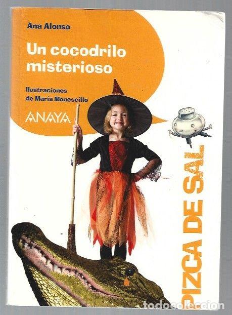 Libros: COCODRILO MISTERIOSO - UN - ALONSO, ANA - Foto 1