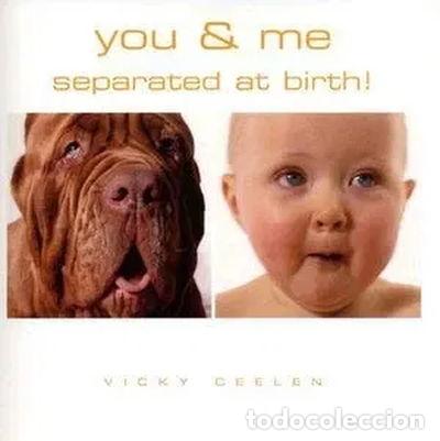 Libros: You & Me Separated at Birth- 9780760768754 - Foto 1