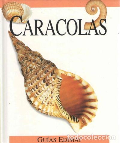 Libri di seconda mano: Caracolas- 9788484031048