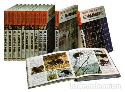 Libros: Insectos 2- 9788471891600 - Foto 1