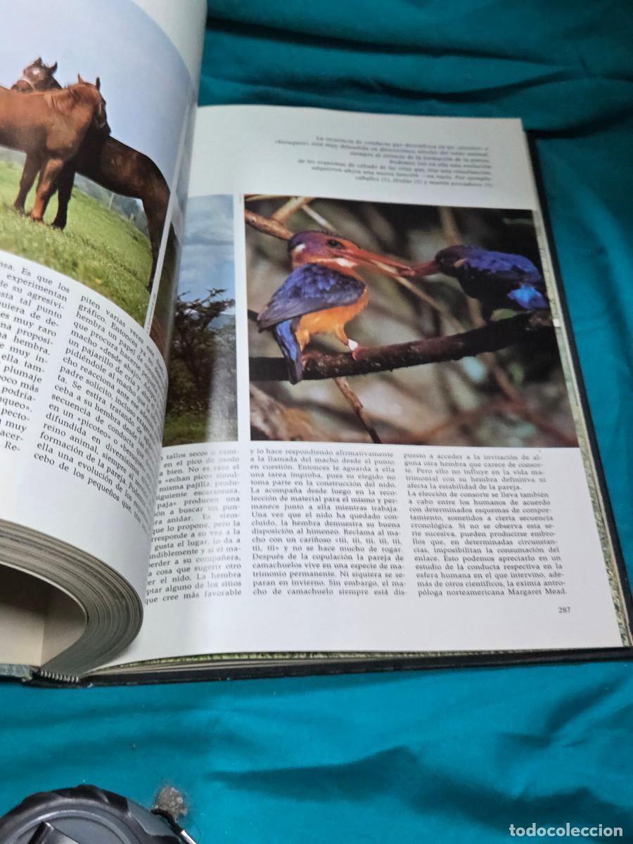 Libros: libro etologia vintage - Foto 2