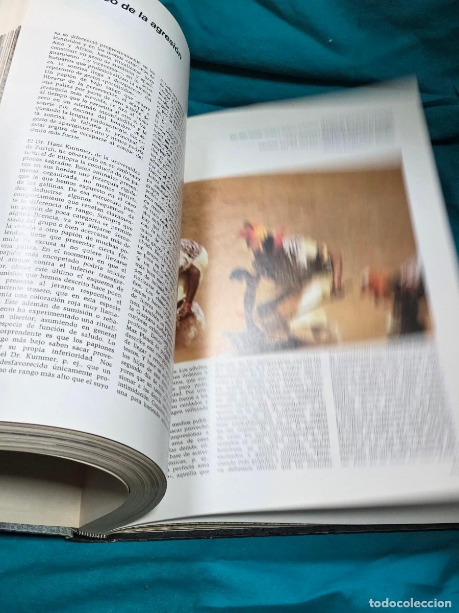 Libros: libro etologia vintage - Foto 3