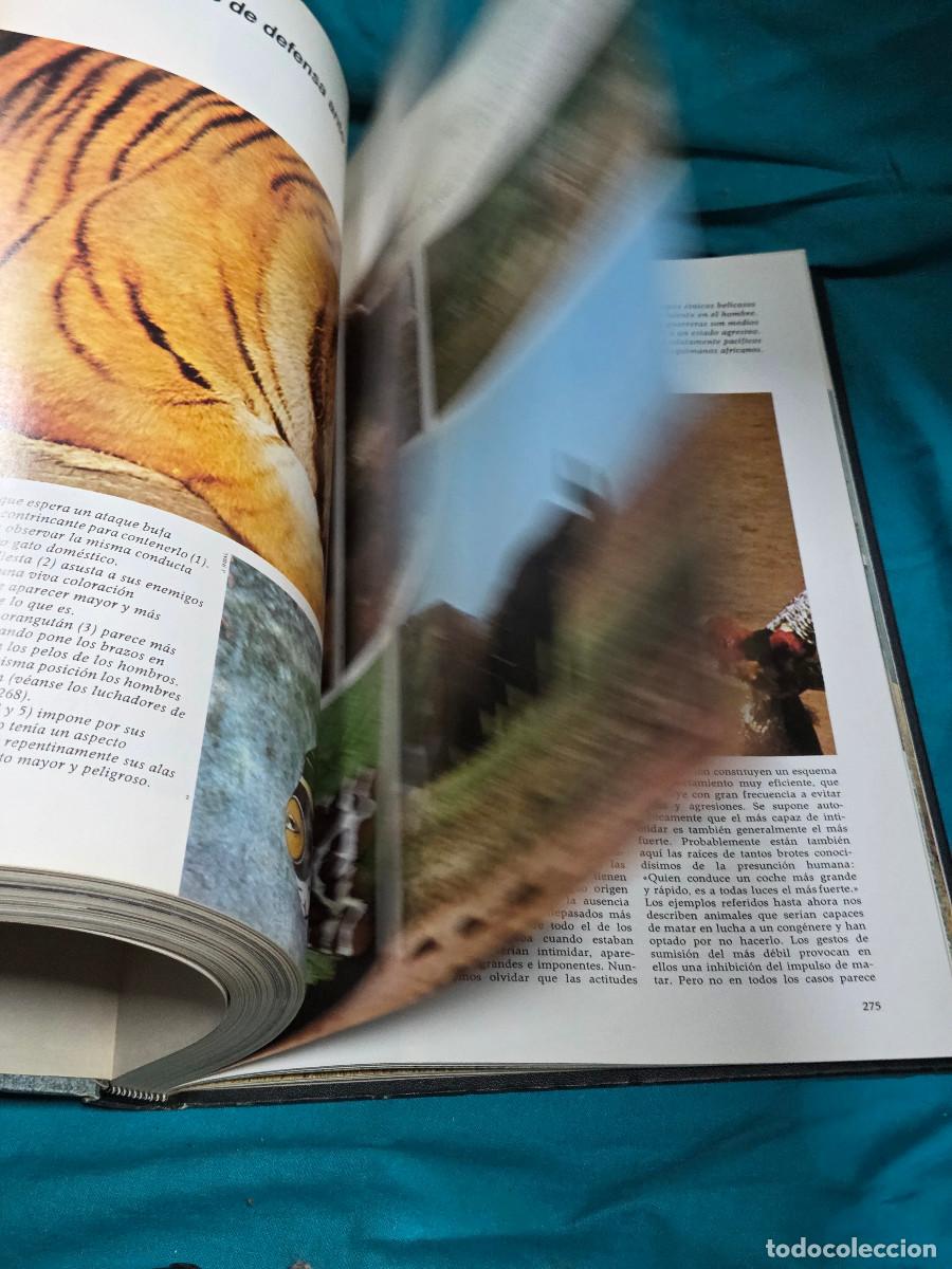 Libros: libro etologia vintage - Foto 4