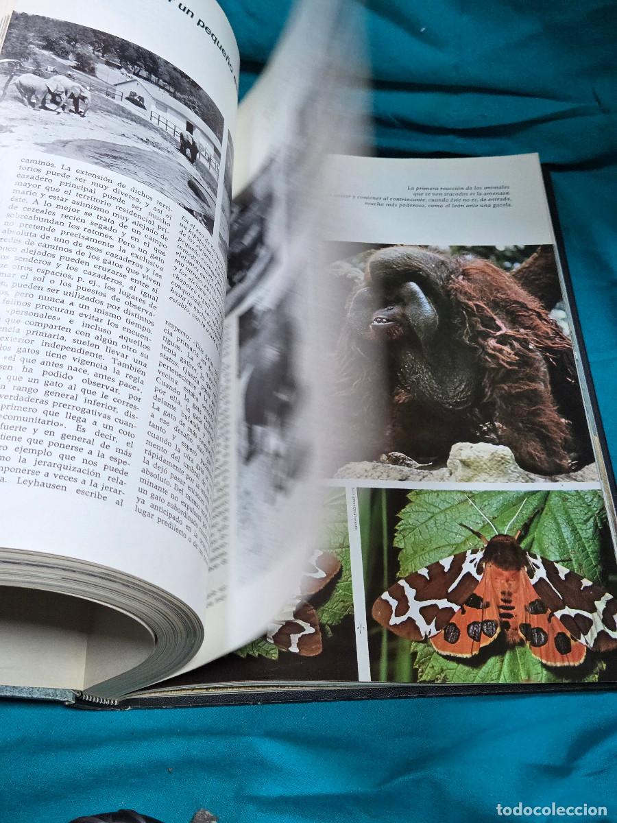 Libros: libro etologia vintage - Foto 6