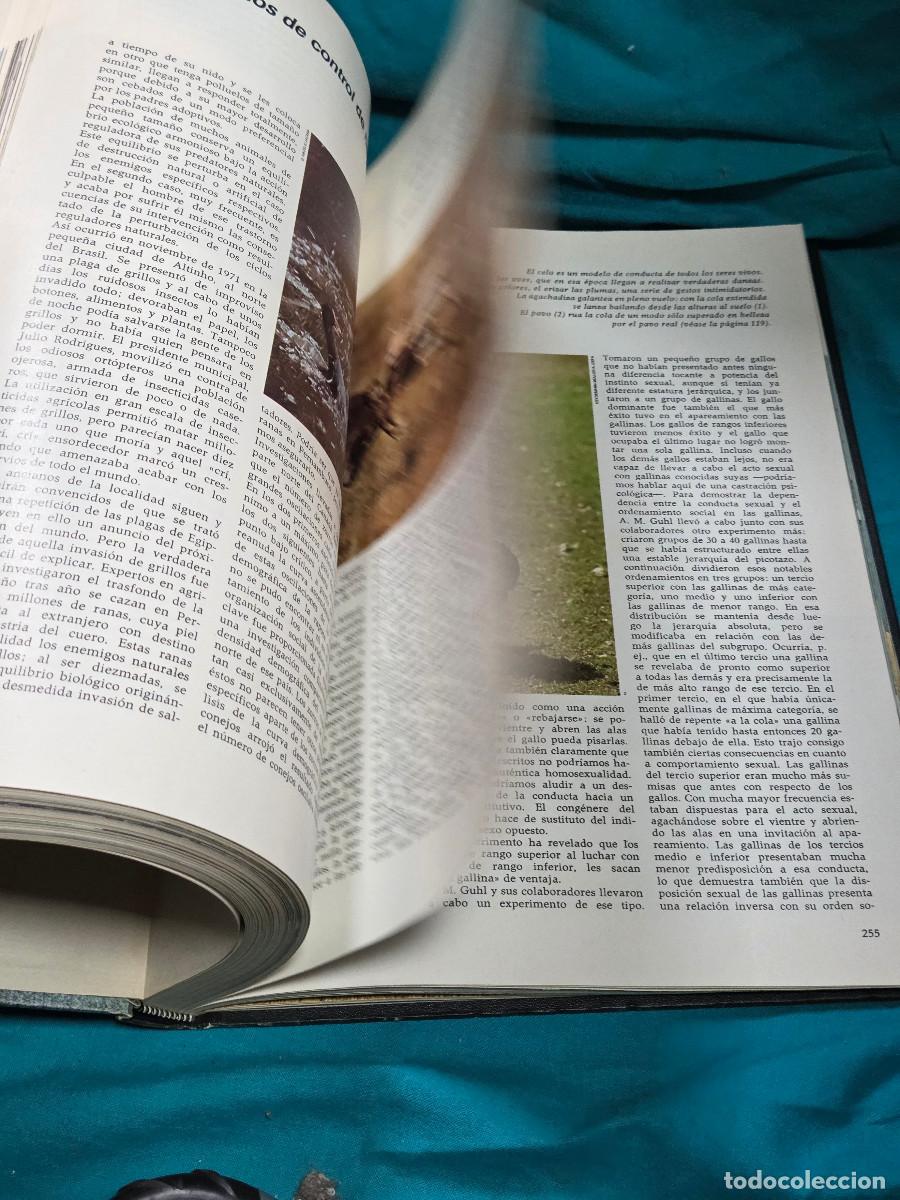 Libros: libro etologia vintage - Foto 7