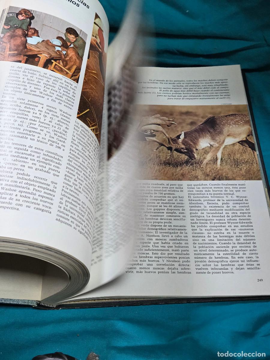 Libros: libro etologia vintage - Foto 8