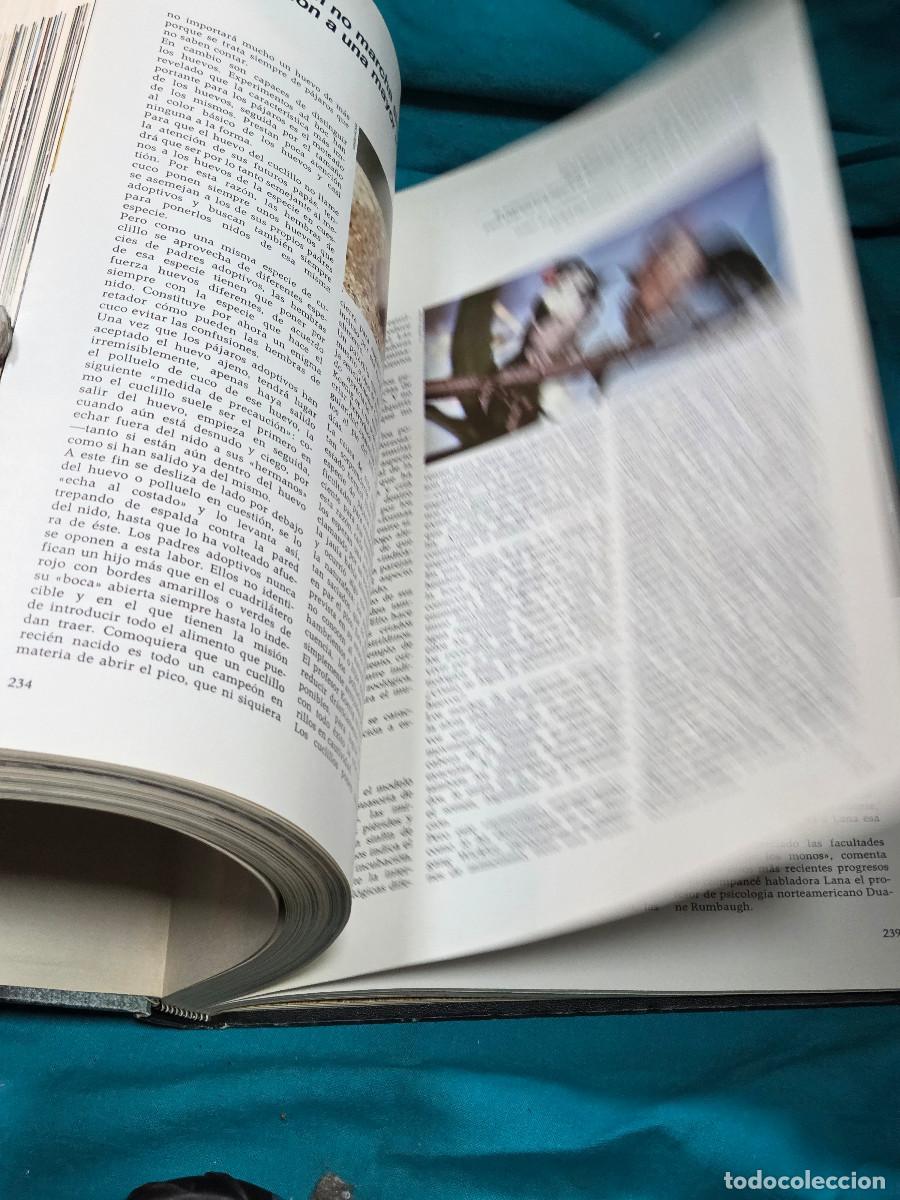 Libros: libro etologia vintage - Foto 9