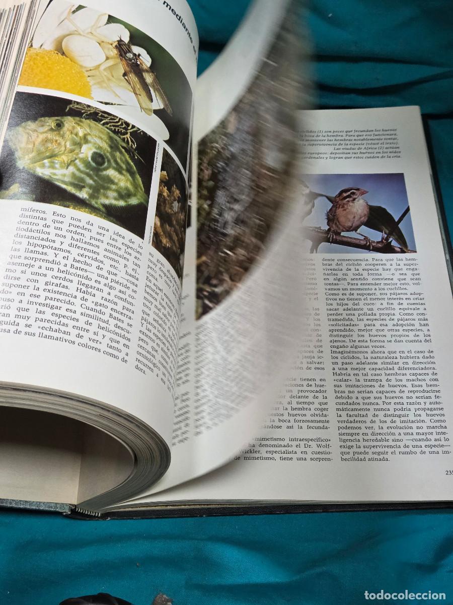 Libros: libro etologia vintage - Foto 10