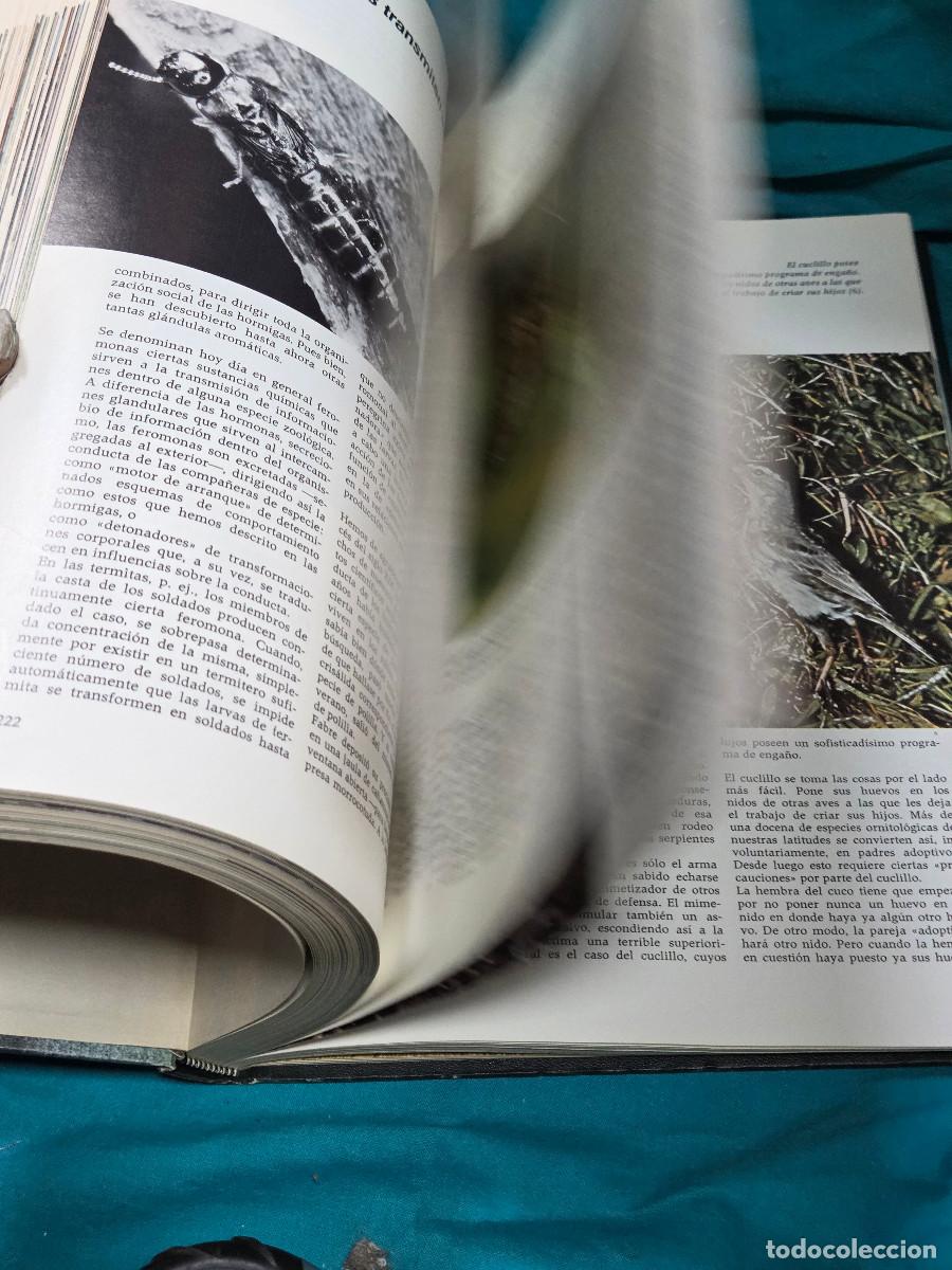 Libros: libro etologia vintage - Foto 11