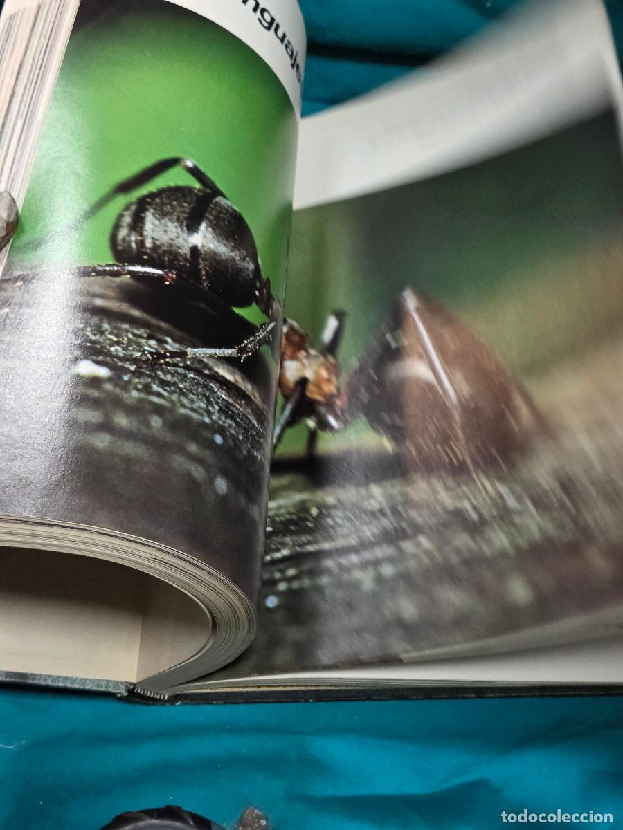 Libros: libro etologia vintage - Foto 12