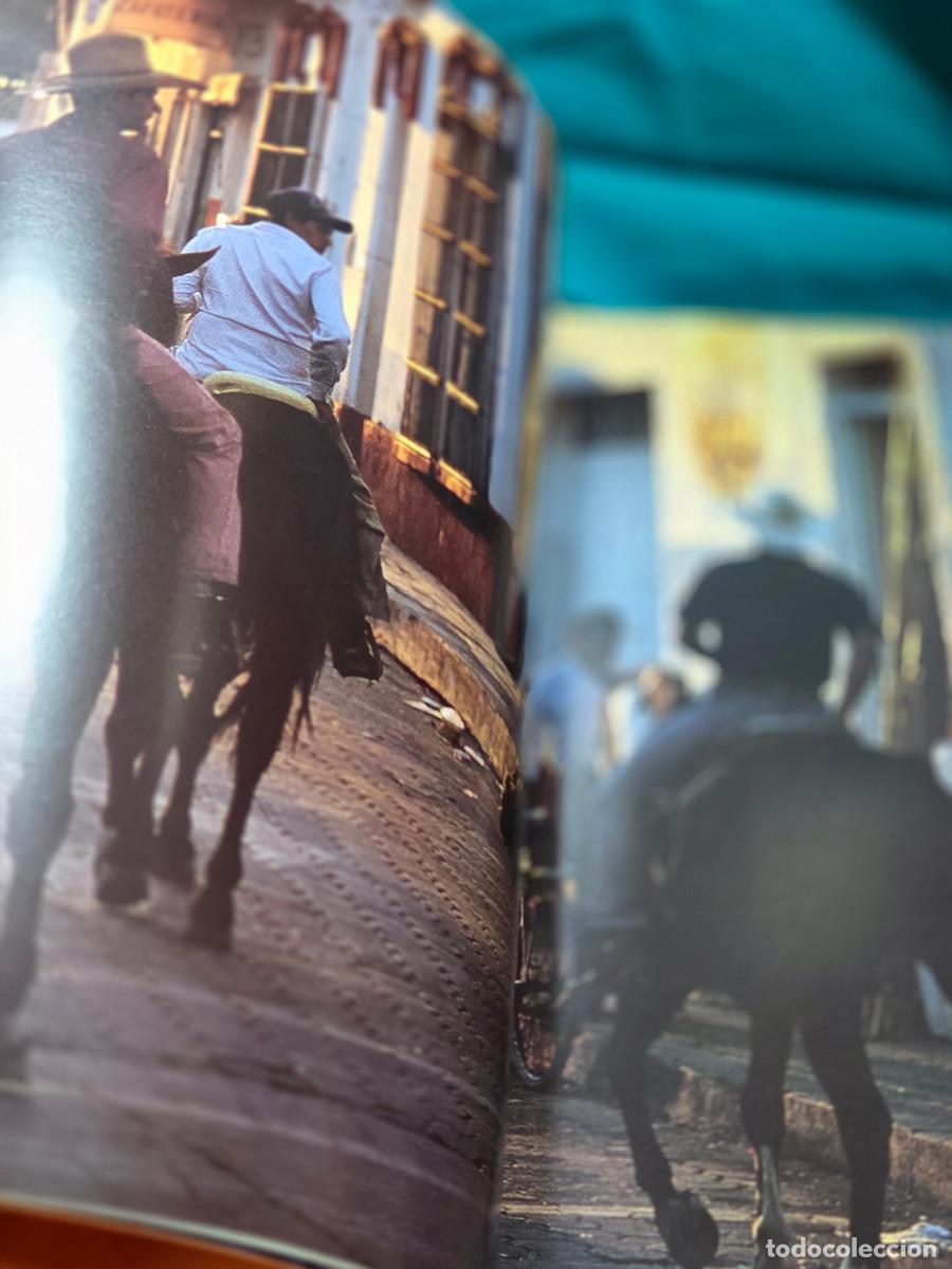Libros: libro al elaboracion del tequila - Foto 4