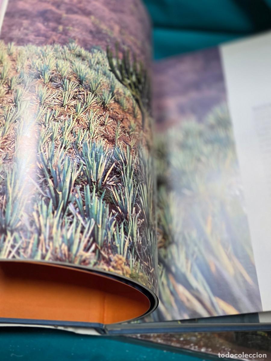 Libros: libro al elaboracion del tequila - Foto 7