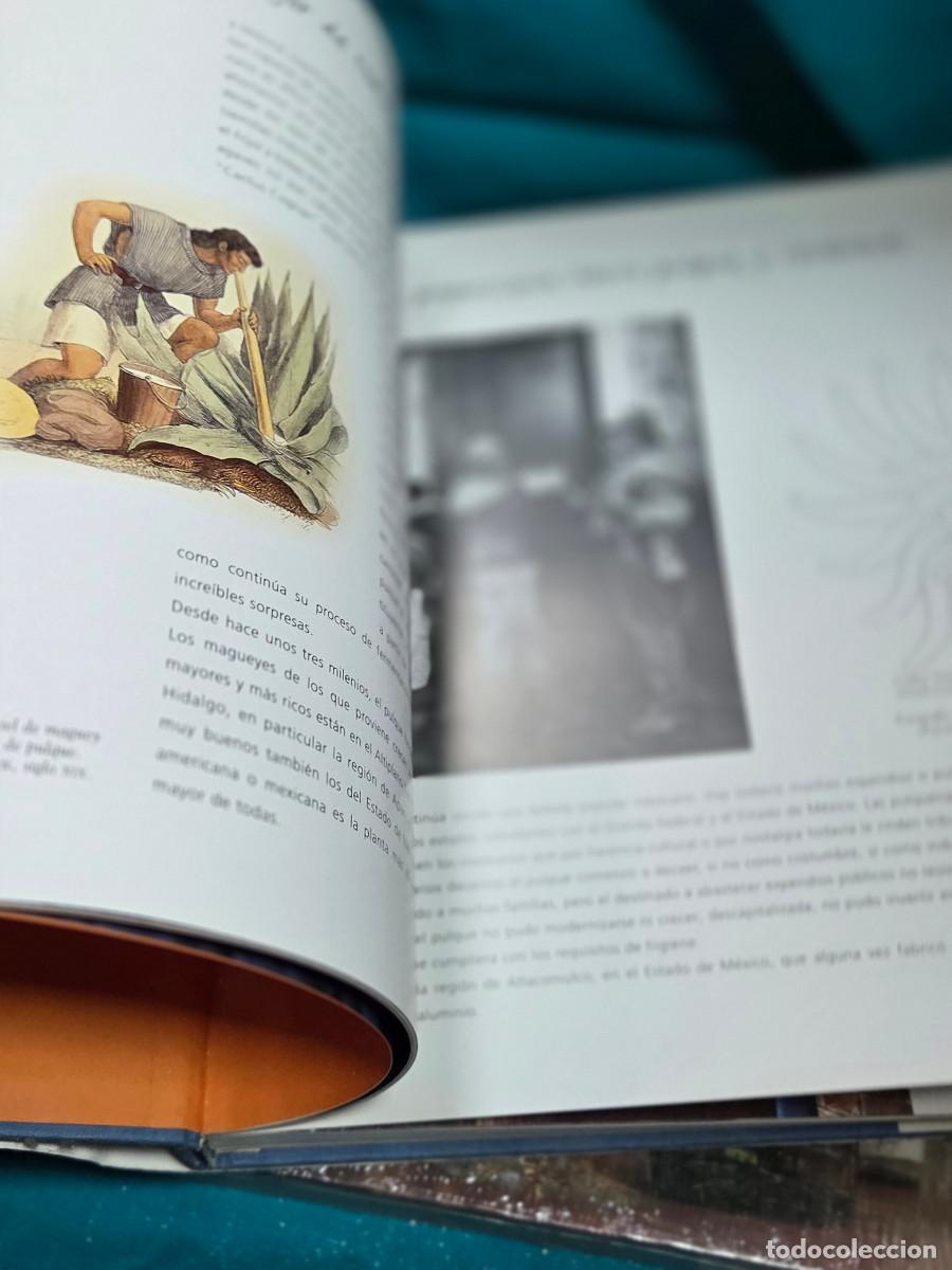 Libros: libro al elaboracion del tequila - Foto 9