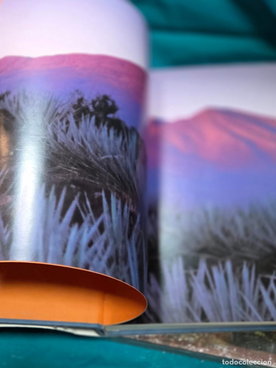 Libros: libro al elaboracion del tequila - Foto 13