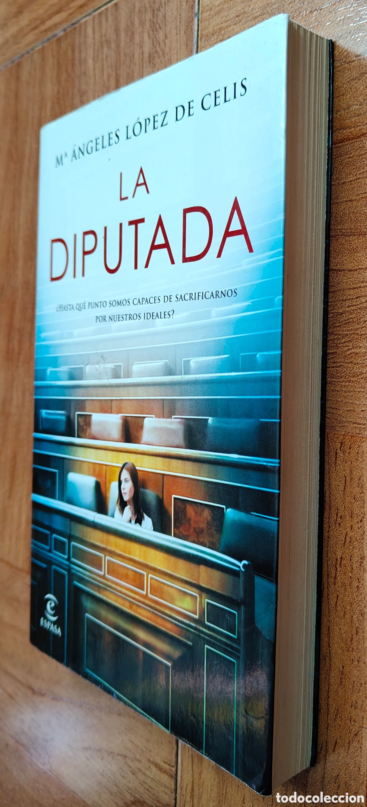 Libros: La Diputada - M&ordf; &Aacute;ngeles L&oacute;pez de Celis - Foto 2