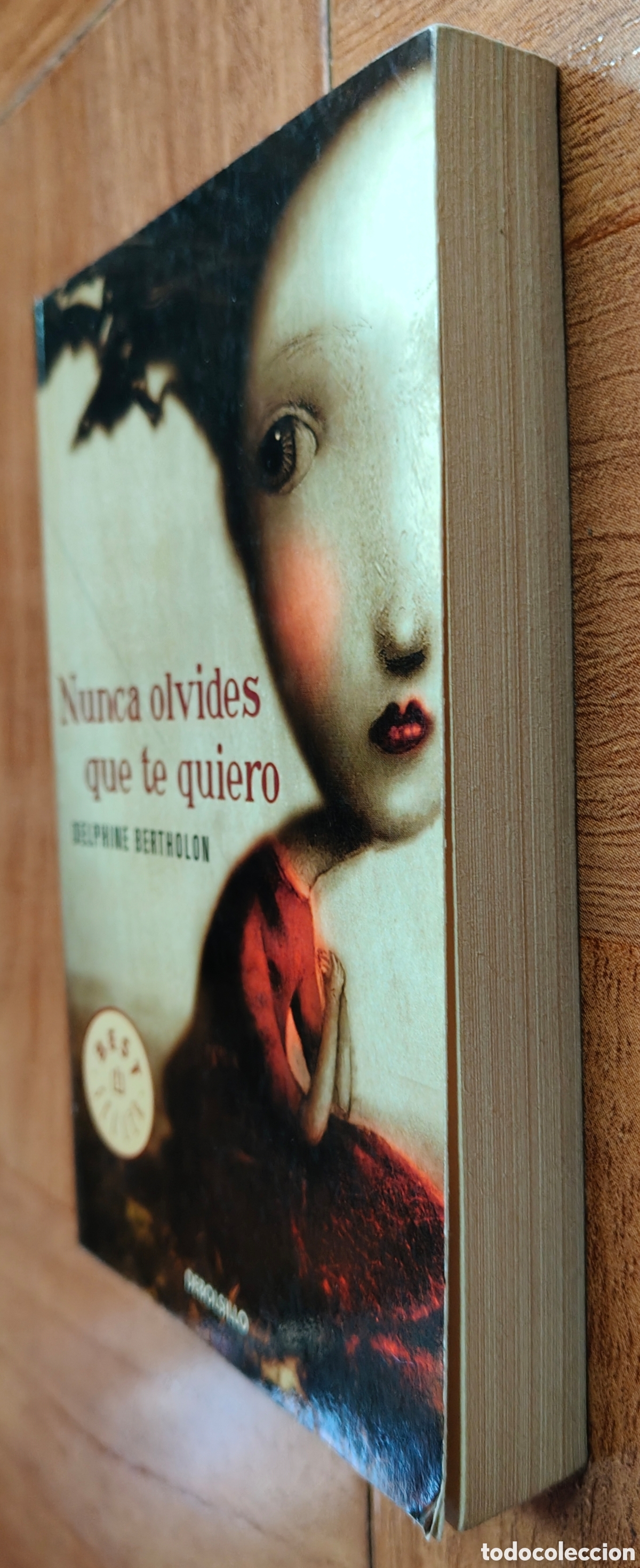Libros: Nunca olvides que te quiero � Debolsillo - Delphine Bertholon - Foto 2