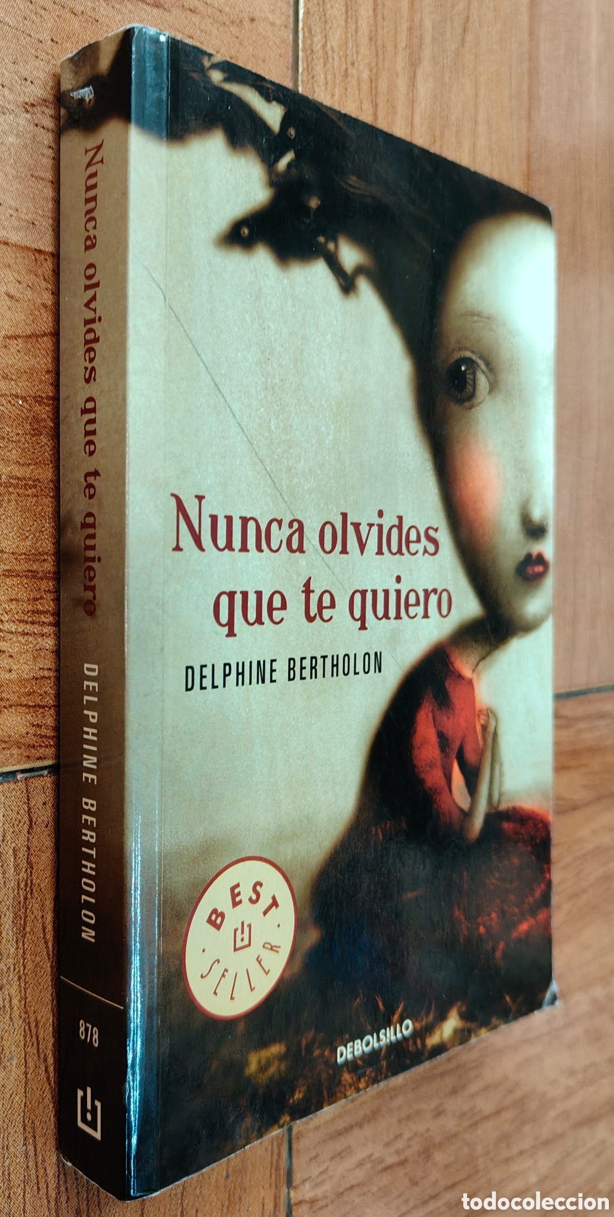 Libros: Nunca olvides que te quiero � Debolsillo - Delphine Bertholon