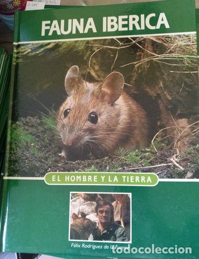 Libros: Enciclopedia Salvat de la Fauna Ib&eacute;rica y Europea. El Hombre y la Tierra. Tom...- 9788488063175