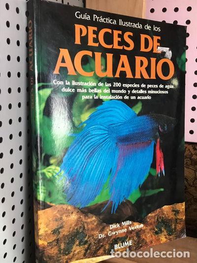 B&uuml;cher: Gu&iacute;a pr&aacute;ctica ilustrada de los peces de acuario- 9788487535239
