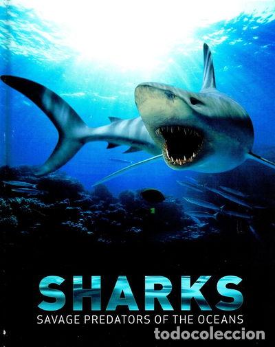 Libros: Sharks- 9781405450317 - Foto 1