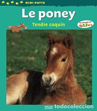 Libros: Le poney, tendre coquin- 9782745928689 - Foto 1