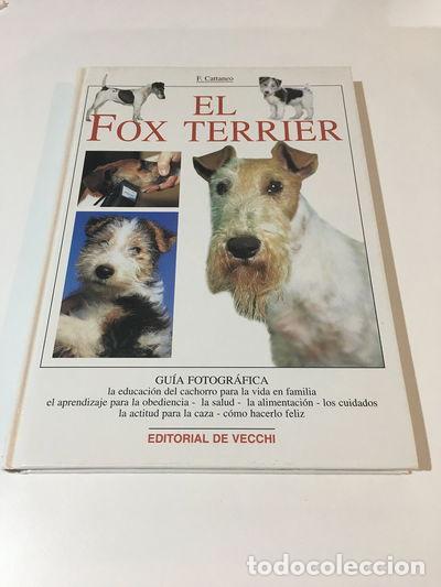Libros: El Fox Terrier- 9788431528546 - Foto 1
