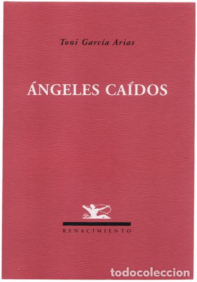 Libros: &Aacute;ngeles ca&iacute;dos- 9788484722625 - Foto 1
