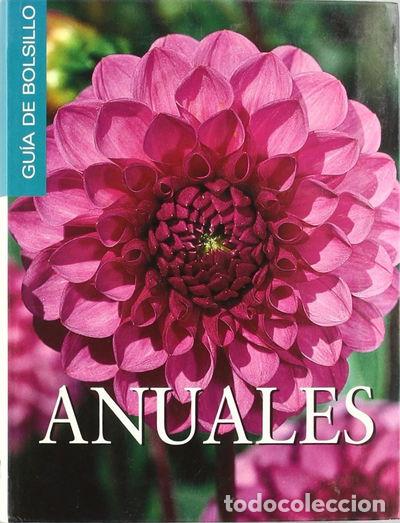 Libros: Anuales- 9788496252363 - Foto 1