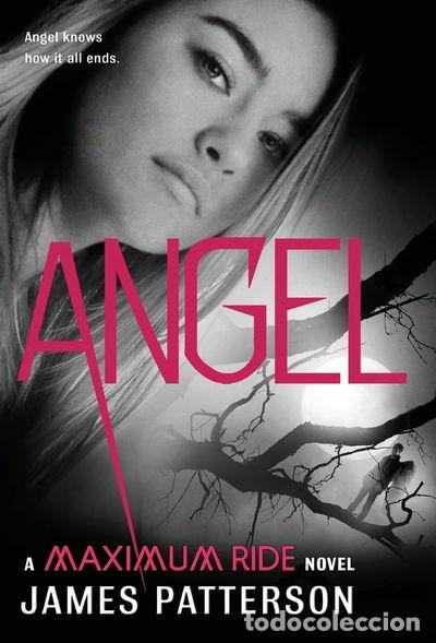 Libros: Angel: A Maximum Ride Novel- 9780316036207 - Foto 1