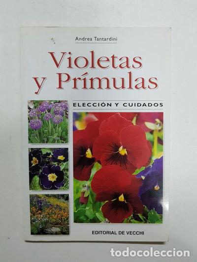 Libros: Violetas y pr&iacute;mulas- 9788431528072 - Foto 1