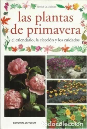Libros: Las plantas de primavera- 9788431528096 - Foto 1