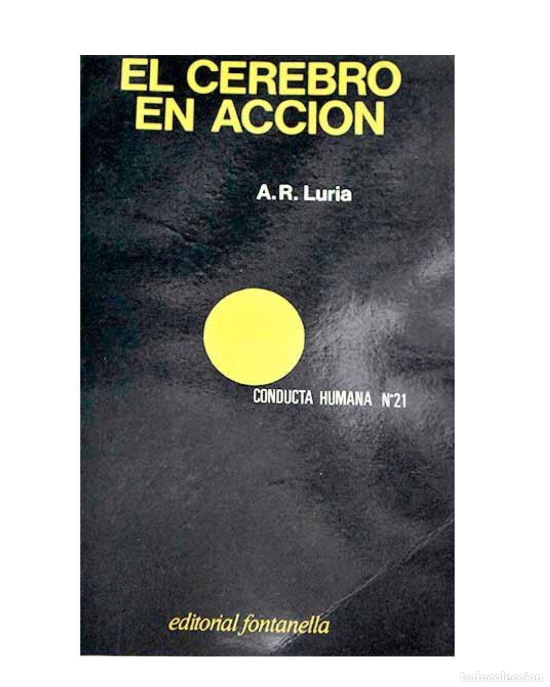 Libros: El cerebro en acci&oacute;n - A. R. Luria - Foto 1