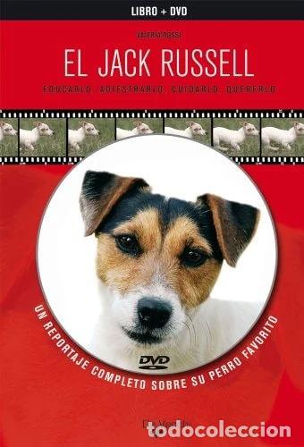 Libros: El Jack Russell (Libro + DVD)- 9788431540067 - Foto 1