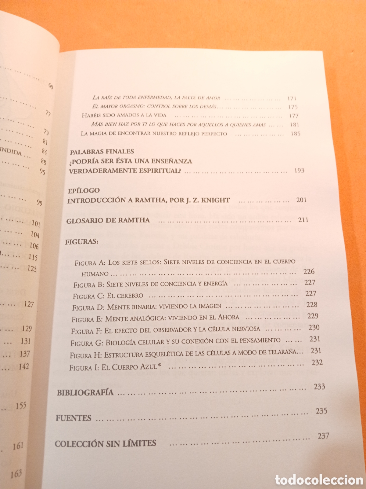 Libros: ESE ELIXIR LLAMADO AMOR � CANALIZACION - RAMTHA - Foto 5