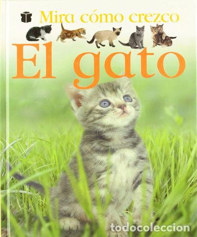 Libri di seconda mano: El gato- 9788423674886
