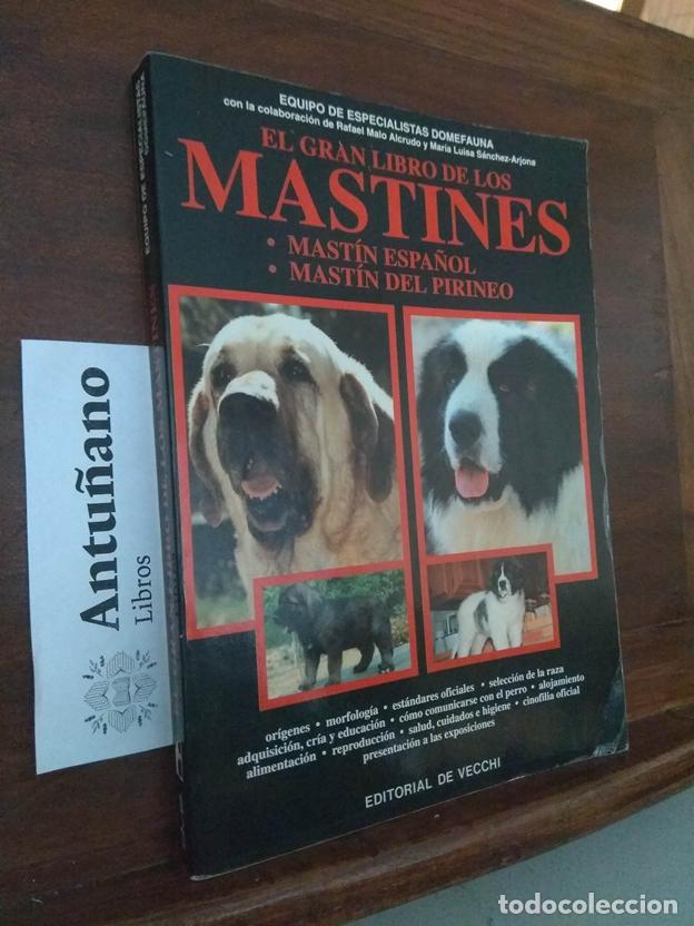 Libri di seconda mano: El gran libro de los mastines