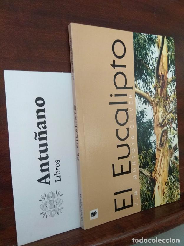 Libros: El Eucalipto - Foto 1