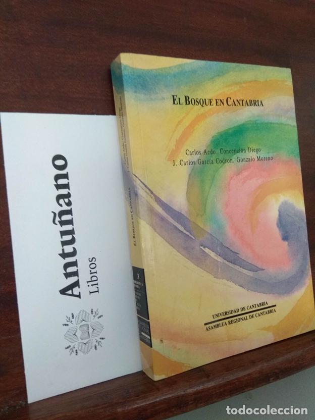 Libros: El bosque en Cantabria - Foto 1
