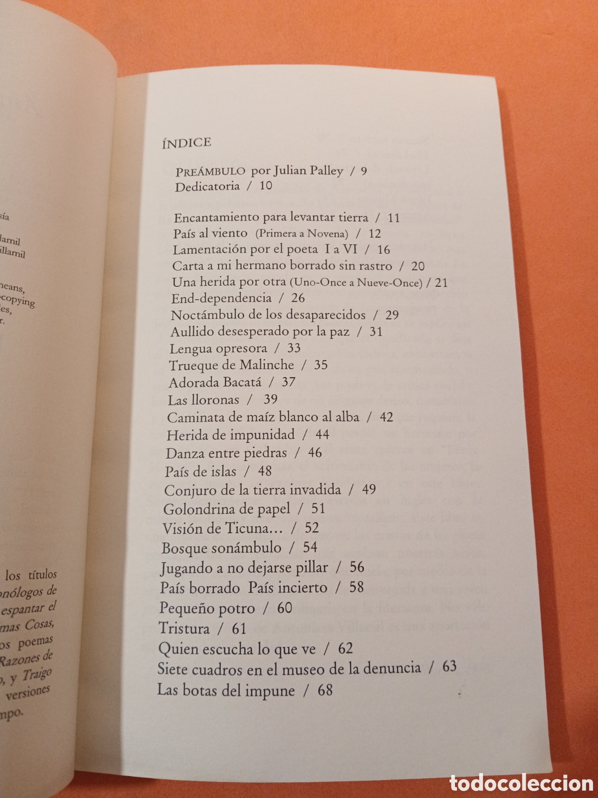 Libros: FENIX MUISCA � AUTOAYUDA - ANTONIETA VILLAMIL - Foto 3