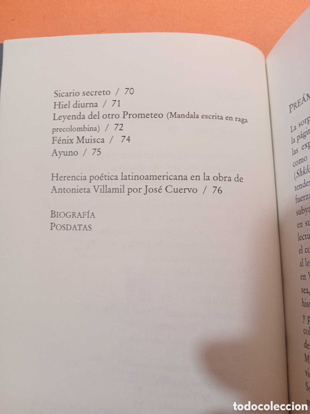 Libros: FENIX MUISCA � AUTOAYUDA - ANTONIETA VILLAMIL - Foto 4