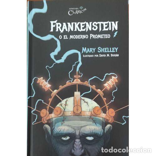 Libros: FRANKENSTEIN O EL MODERNO PROMETEO - SHELLEY, MARY - Foto 1