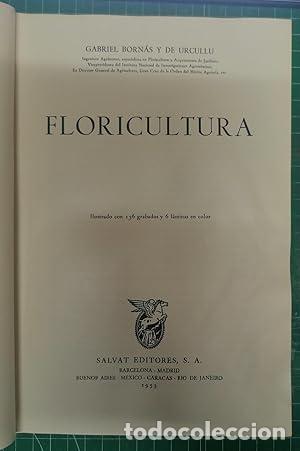 Libros: FLORICULTURA - Born&aacute;s y de Urcullu,Gabriel - Foto 1